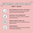 thumbnail image 4 of Avatara Juicy Watermellow Hydrating Watermelon Face Mask for All Skin Types, 1 Sheet Mask, 4 of 7