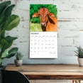 thumbnail image 5 of Cows | 2026 12x24" (Hanging) Square Wall Calendar | Plastic-Free, 5 of 9