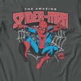 thumbnail image 3 of Marvel Comics Retro Spider-Man Old Fashioned Web Men's T Shirt (Charcoal, S-XXXL), 3 of 4