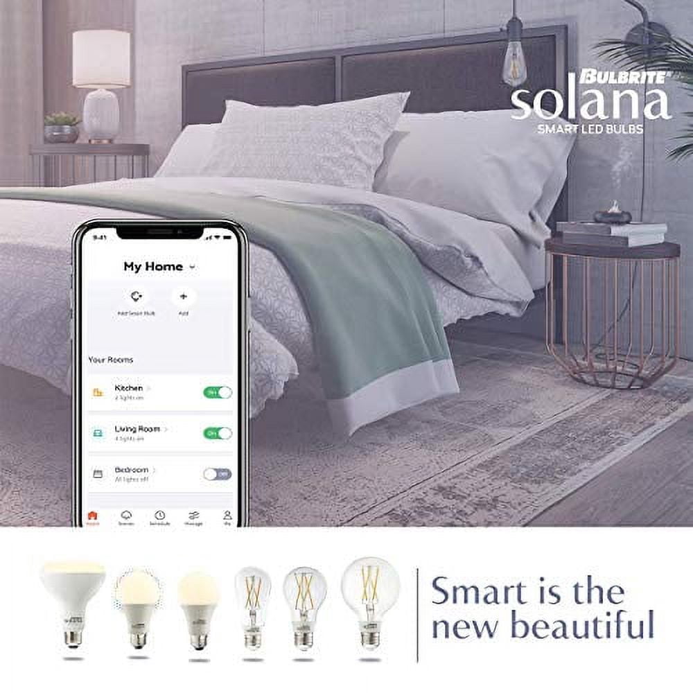 Bulbrite Solana Edison WiFi LED Smart Bulb, 60 Watt Equivalent, ST18 90  CRI Clear Filament Dimmable Light Bulb, Compatible with Alexa and Google  Home, 2 Pack