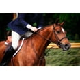 thumbnail image 2 of Hausenflock, Alan 32x23 White Modern Wood Framed Museum Art Print Titled - Dressage I, 2 of 4