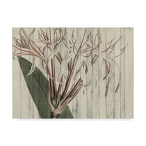 Trademark Fine Art 'Rustic Floral I' Canvas Art by Studio W