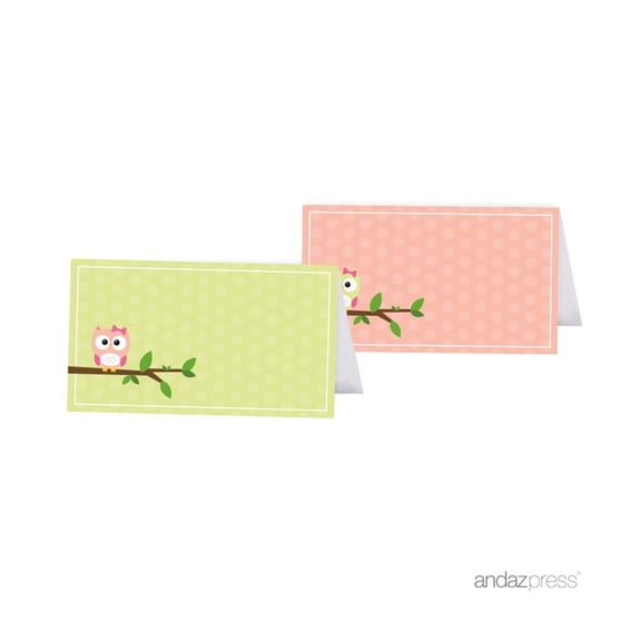 Koyal Wholesale Table Place Cards Modern Owl Girl Baby Shower 20-Pack