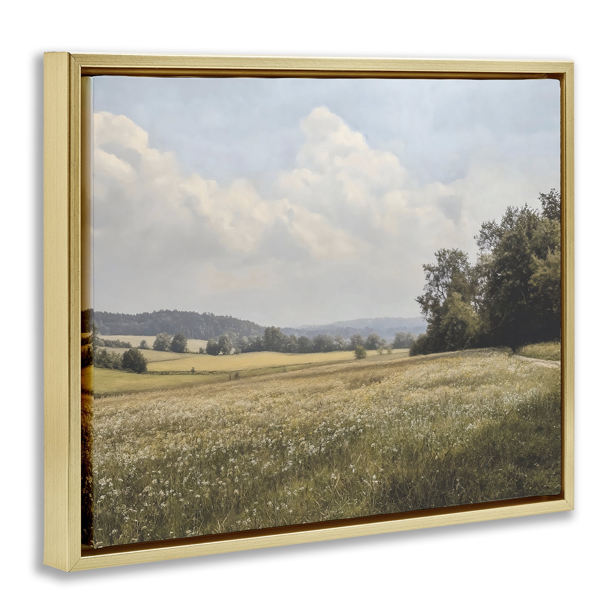 Stupell Industries Summer Landscape Cloudy Meadow Gold Framed Floater Canvas Wall Art, design by Franklyn Gregory