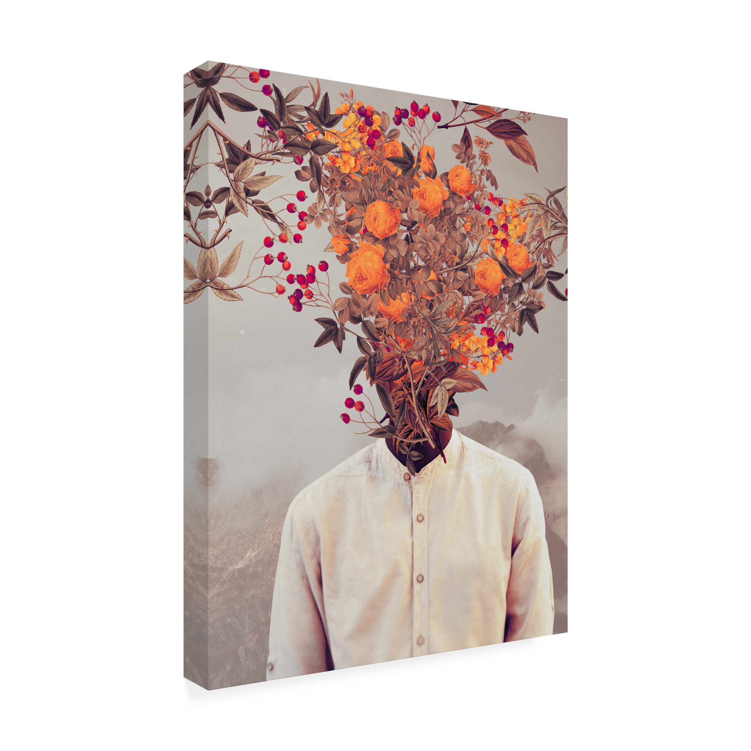 Trademark Fine Art Frank Moth  Bright Bloom Canvas Wall Art - 24x32
