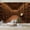 Color 5, variant on Wallpaper Grand Vintage Library Interior Wooden Shelves Archways Peel and Stick Wall Murals 69"H x 96"W Removable PVC Wall Paper Self-Adhesive Wall Paintings Art Decor for Bedroom Living Room