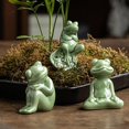 thumbnail image 5 of Frog Ornament Versatile Frog Sculpture Tea Pet Creative Frog Statue for Home Fish Tank Bonsai Decoration, 5 of 5