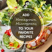Pro Micro Jute Microgreens Grow Mats by Handy Pantry - 10x10 Inches for 1010 Growing Trays - Pack of 100 Pads - Hydroponic Grow Media for Micro Greens & Wheatgrass