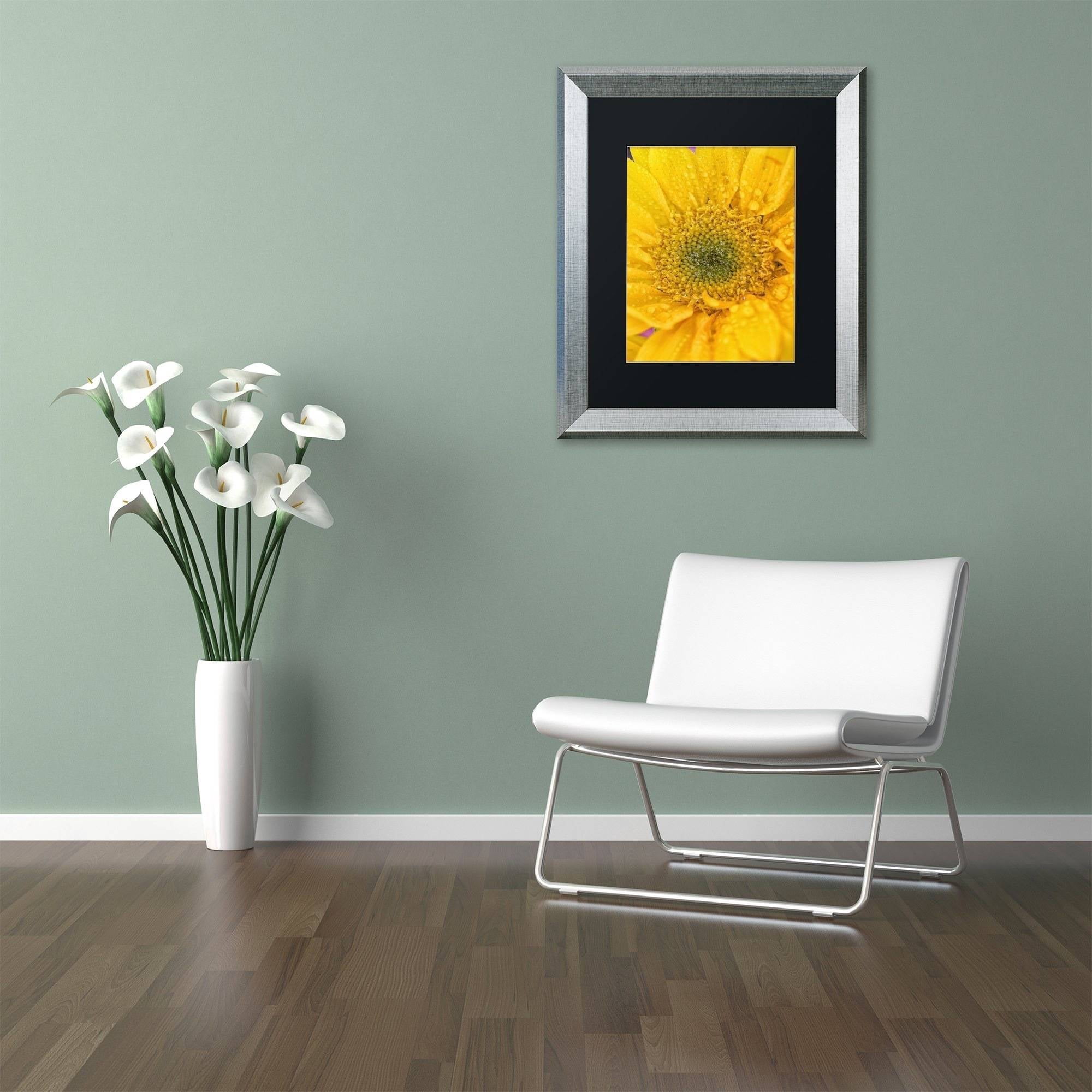 Trademark Fine Art 'Joyful Color' Canvas Art by PIPA Fine Art, Black Matte, Silver Frame