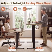 Furmax 55 x 24 Home Office Electric Height Adjustable Standing Desk