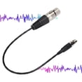View all media