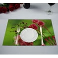 thumbnail image 1 of EREHome Set de 2 Sets de Table Colibri 12x18 Pouces, 1 of 1