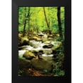 thumbnail image 2 of Hausenflock, Alan 17x24 Black Modern Framed Museum Art Print Titled - White Oak River I, 2 of 5