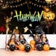 thumbnail image 2 of Cartel de Halloween Wosthever Tela Oxford Tipo 1, 2 of 6