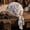 E, variant on Elastic Fabric Amoeba Pirate Hat, Deformable Pirate Cap for Halloween, Pirate Theme Party & Daily Wear, Stretchable Fit for Adults & Teens
