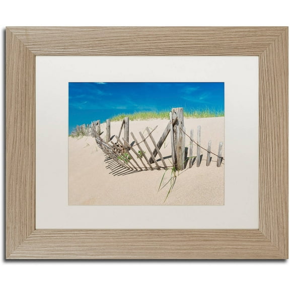 Trademark Fine Art "Worn Beach Fence" Canvas Art by Michael Blanchette Photography White Matte, Birch Frame