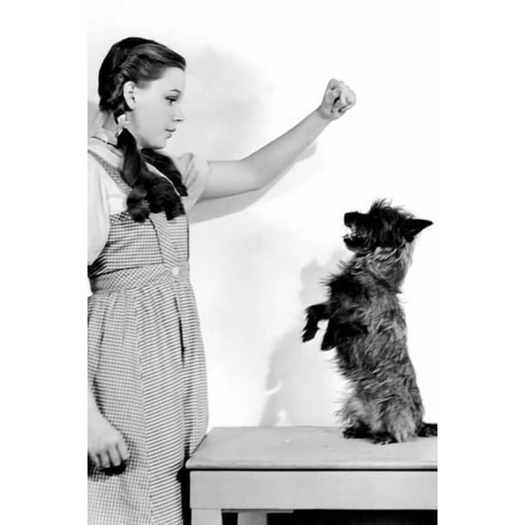 The Wizard Of Oz 24x36 Poster