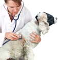 thumbnail image 2 of Dog Eye Mask Nylon Adjustable Buckle Shading Dog Anxiety Mask Dog Anxiety Muzzle, 2 of 9