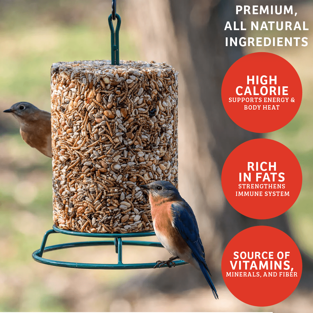 Birds Choice Cardinals Crave Seed Cylinder - Large