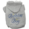 thumbnail image 4 of Birthday Pet Dog  Cat Hoodie Rhinestone, "Birthday Boy", 4 of 9