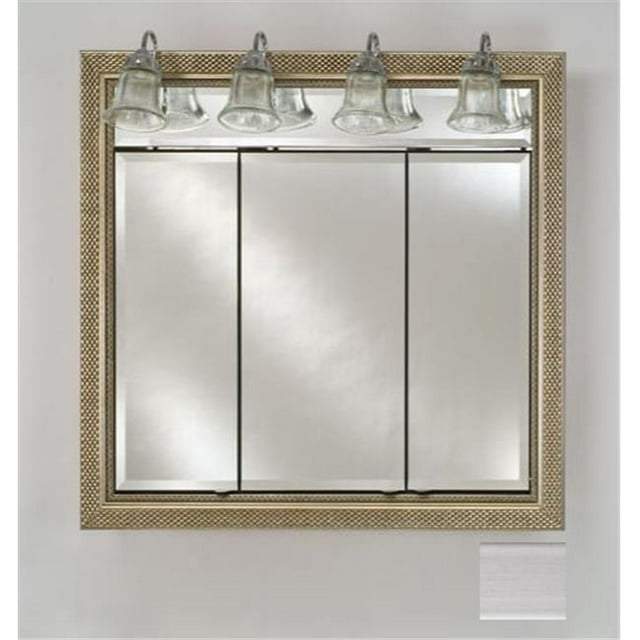 TD-LT4740RSOHST 47 in.x 40 in.Recessed Traditionnel Intégral Éclairé Triple Porte - Soho Inoxydable