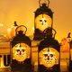 thumbnail image 3 of LEDs Calabazas Diseño Linterna de mano Luz nocturna Decorativa al lado de la lámpara TFixol Lámpara portátil, 3 of 7