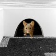 thumbnail image 4 of Autocollant Mural Réaliste 3d Mouse, Mouse dans un Trou, 4 of 5
