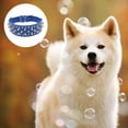 thumbnail image 3 of Collar para perro de cuero con remaches de 2 "de ancho Apuakthei,, 3 of 5