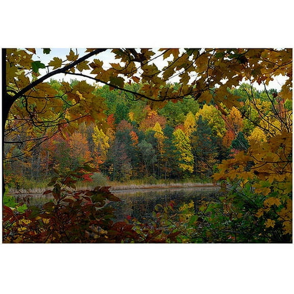 Trademark Art "Full Color Fall" Canvas Art by Kurt Shaffer, 16x24