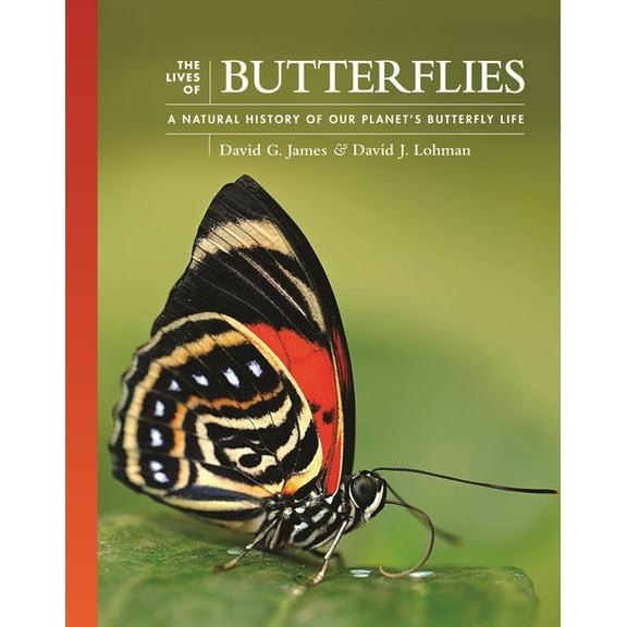 Lives of the Natural World The Lives of Butterflies: A Natural History of Our Planet's Butterfly Life, Book 6, (Hardcover)