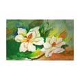 thumbnail image 1 of Betsy Drake DM251G Magnolias Door Mat - 30 x 50 in., 1 of 1