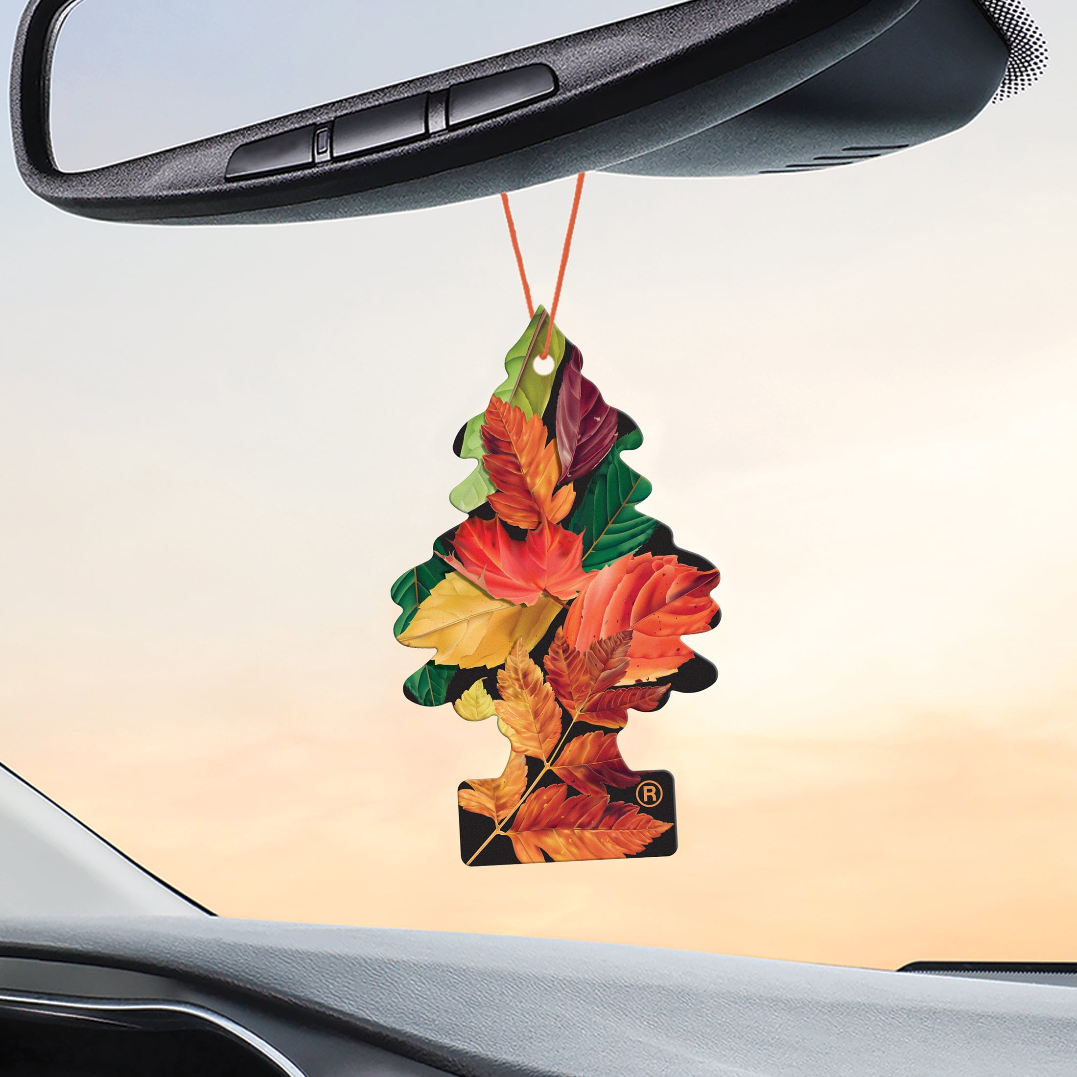 Little Trees Air Freshener Crisp Autumn Air Fragrance 3-Pack