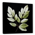 thumbnail image 2 of Designart "Simple Harmony Of Black And Green Leaves" Leaves Floater Framed Canvas Wall Art, 2 of 5