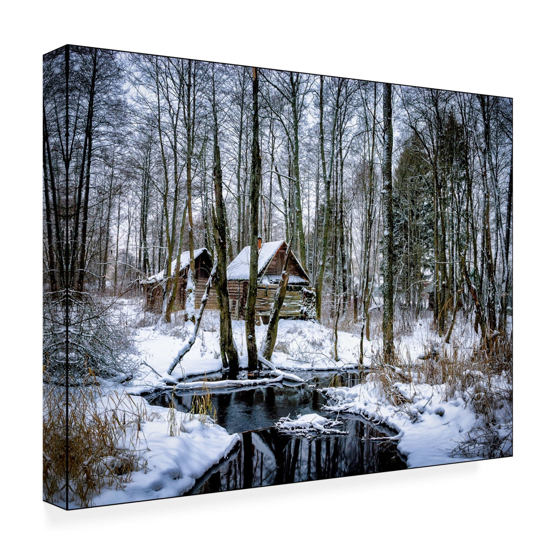 Canvas Wall Art - Yury A Melnikov 'Countryside Saunas In The Winter Woods On The Banks Of A Stream' Wall Art for Living Room, Bedroom, or Office Décor by Trademark Fine Art - 47 x 35 Inches