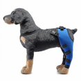 thumbnail image 2 of Double Rear Leg Protection Dog Knee Brace For Acl Knee Cap Dislocation Arthritis Keeps The Warm Extra Support Z, 2 of 5