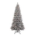 thumbnail image 1 of 7 ft. Pre-Lit Clear New Brunswick Tree, 1 of 1