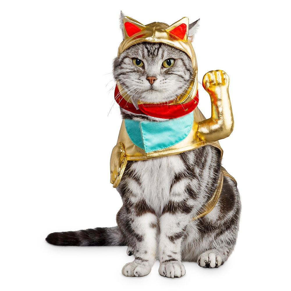 buzz lightyear cat costume