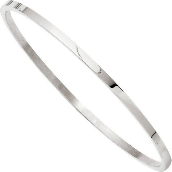 Primal Steel Stainless Steel 2mm Bangle