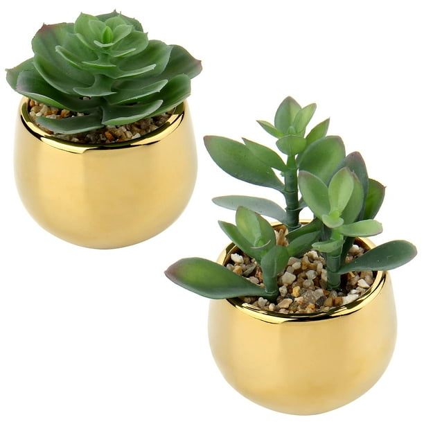 Briful Pequeñas Suculentas Artificiales En Macetas, Juego De 2 Plantas Suculentas Falsas Realistas Con Macetas De Cerámica Doradas, Lindas Mini Plantas Falsas, Decoración Para El Hogar Moderno, Mesa,