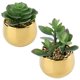 thumbnail image 1 of Briful Pequeñas Suculentas Artificiales En Macetas, Juego De 2 Plantas Suculentas Falsas Realistas Con Macetas De Cerámica Doradas, Lindas Mini Plantas Falsas, Decoración Para El Hogar Moderno, Mesa,, 1 of 5