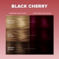 thumbnail image 2 of Splat Midnight Black Cherry Hair Dye Kit, Semi-Permanent Red Hair Color for Brunettes, Vegan, 2 of 6