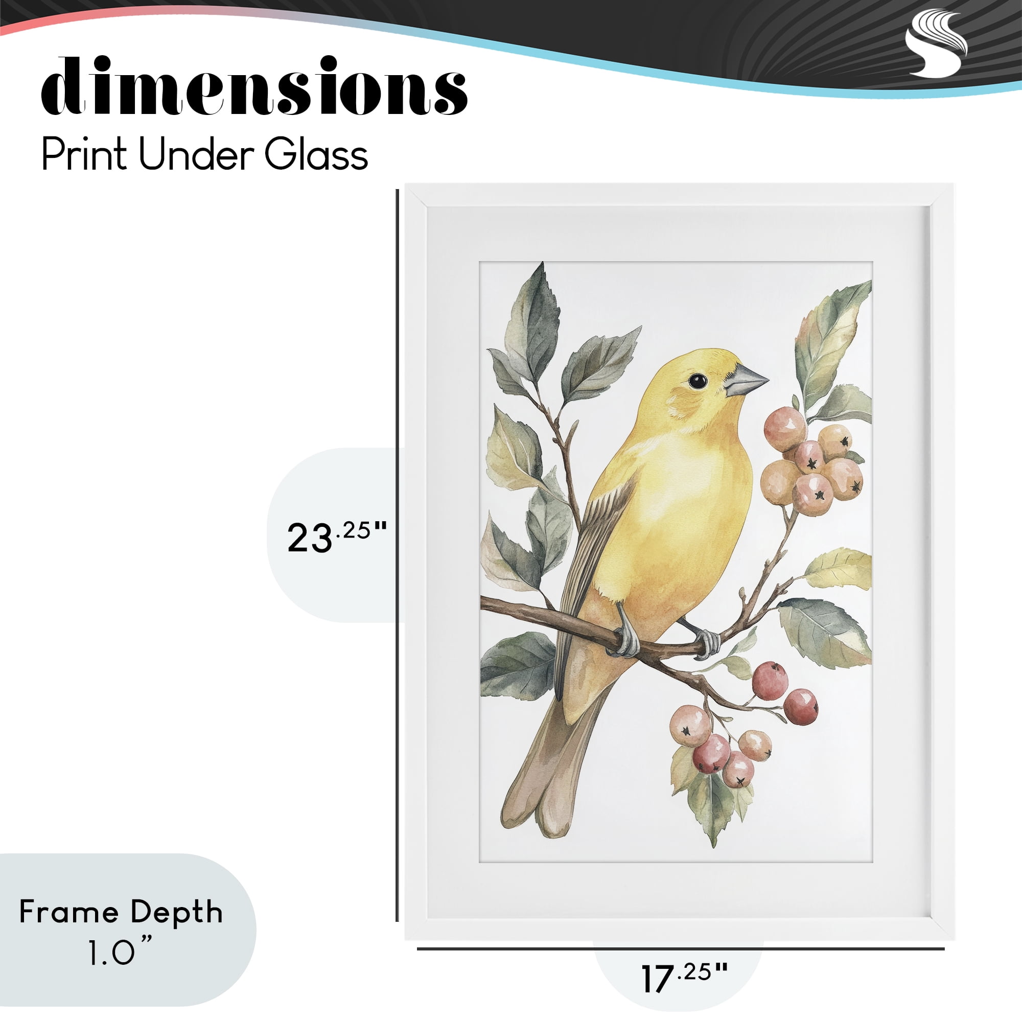 Stupell Industries Sun Lit Bird on Branch White Framed Print Under Glass, design by Petal Prints Design