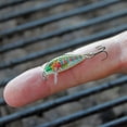 thumbnail image 3 of Rapala Jointed Shad Rap 04 Hard Bait Fishing Lure 1.5" 3/16oz Firetiger, 3 of 5