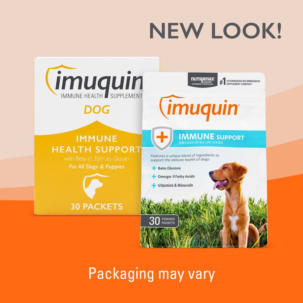 Imuquin Powder Immune Health for Dogs 30ct