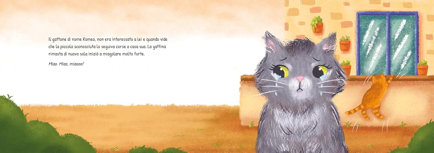 Fiammetta Manola,Emy Viola Seguendo un gatto di nome Romeo (Hardcover)