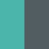 Electric Aqua