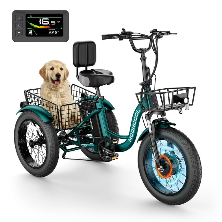 Slsy Adult E-Bike, 750W, 48V Battery, 7-Speed Fat Tire