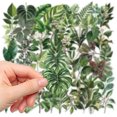 thumbnail image 2 of Pegatinas de vinilo con forma de hojas verdes, impermeables, estilo anime, 50 unidades/lote, 2 of 5