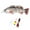Multicolor, variant on 2025 Upgraded Robotic Fishing Lure - Self-Swimming Electric Bionic Swimbait with Multi-Jointed Design for Freshwater & Saltwater Fishing
