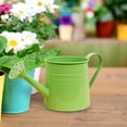 thumbnail image 1 of Ohmyroo Small Watering Can With Handle For Indoor Plants Garden Home Use, 1 of 5